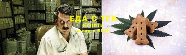 индика Абинск