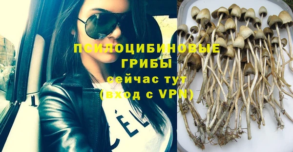 ешки Абдулино