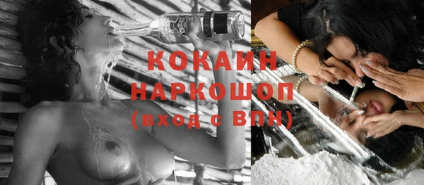 индика Абинск