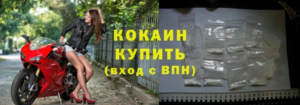 индика Абинск
