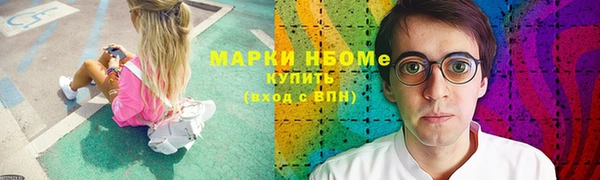 индика Абинск